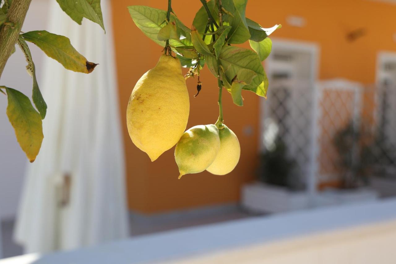 Casa Vacanze Il Gigante Comfort A Due Passi Dalla Valle Dei Templi Agrigento Kültér fotó